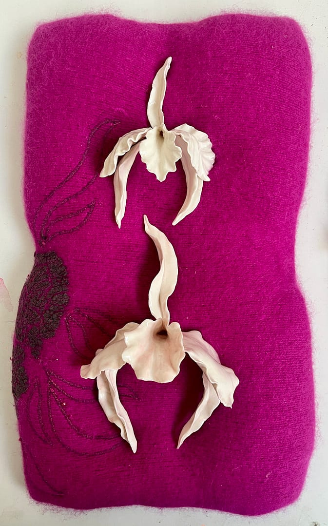 Epiphyllum hybride